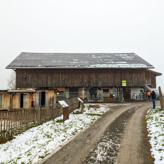 BSZ Stall, Ingenbohl