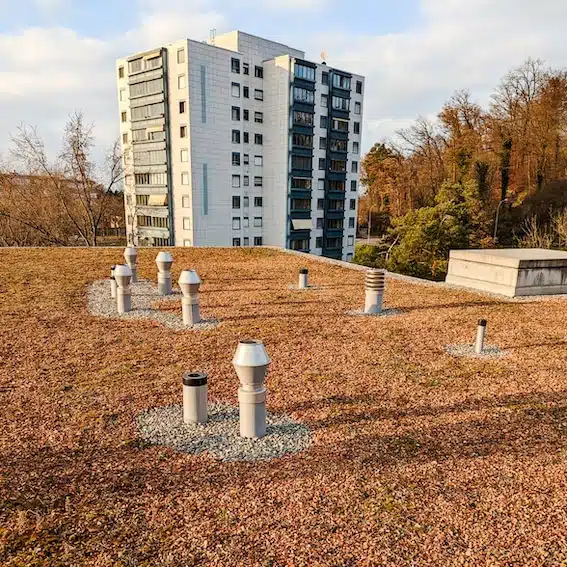 MFH Pfändwiesenstrasse Opfikon