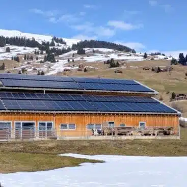 Bauernbetrieb Cuort in Brigels