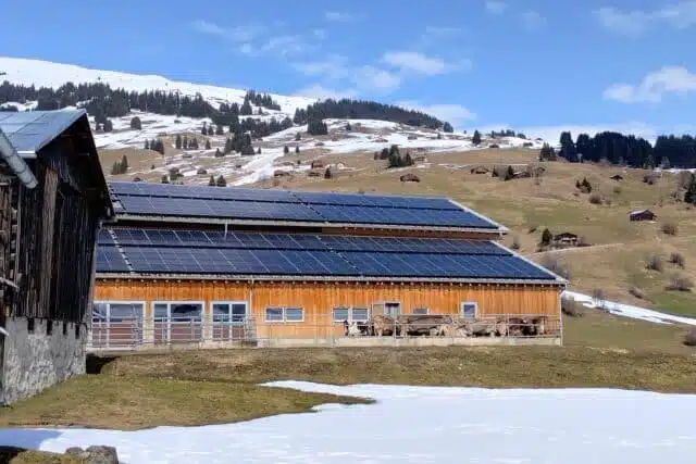 Bauernbetrieb Cuort in Brigels