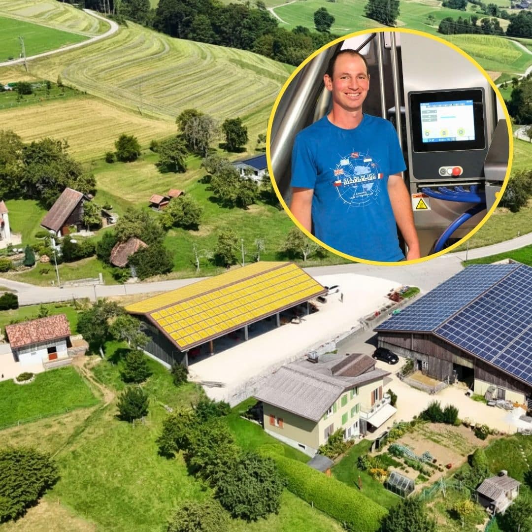 welchen dnger fr kirschlorbeer Purgrn Kirschlorbeer-Dnger 1 kg